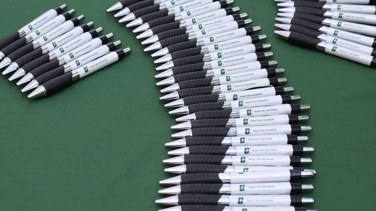 Pens Transition & Belonging Prize