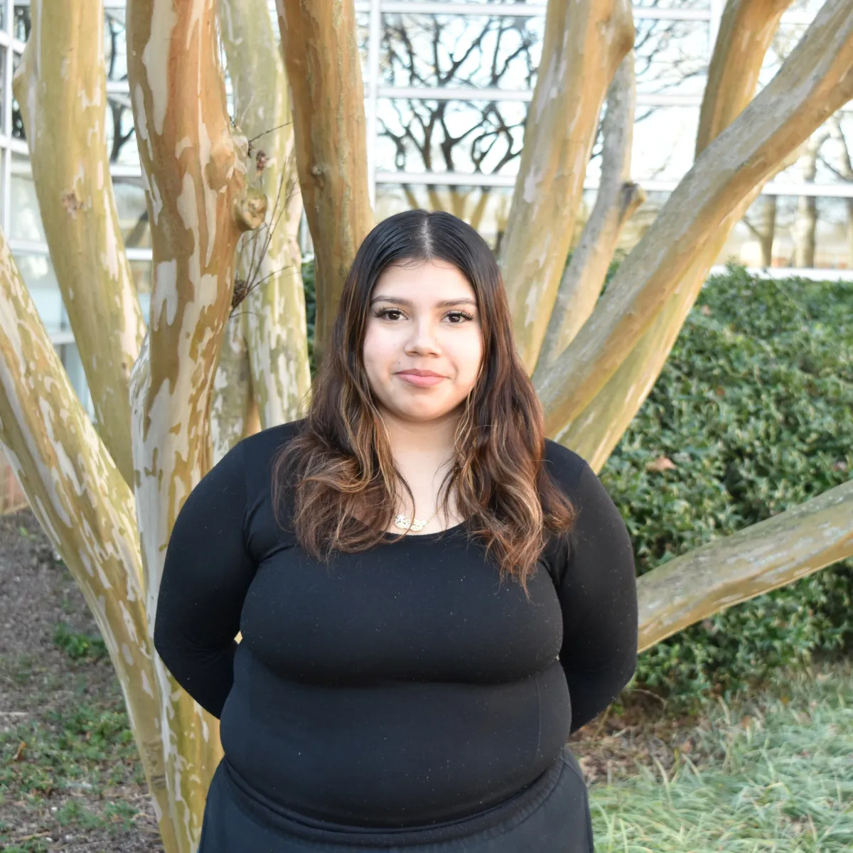 person standing in front of tree with black long sleeve shirt 